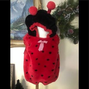 1999 Lady Bug Costume 12-24 Months